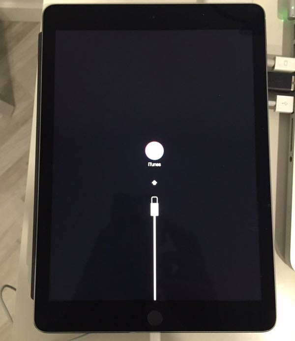 iPad Pro エラー56