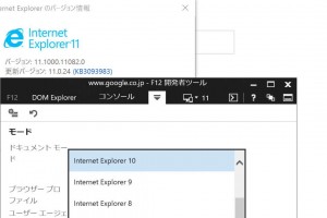 Internet Explorer 8、9、10のサポート
